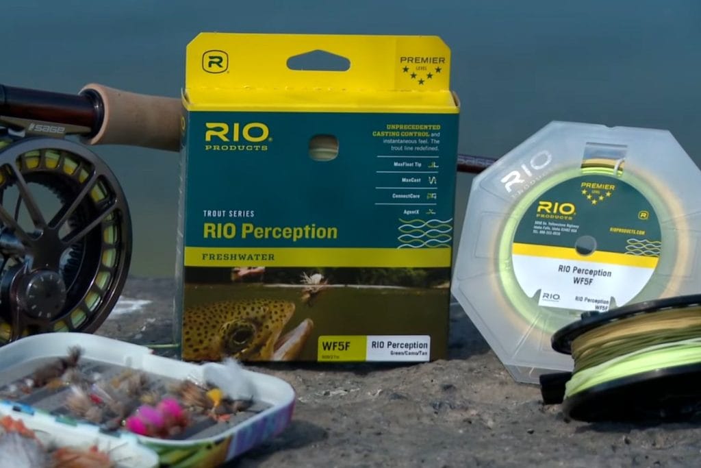 RIO InTouch Perception Fly Line