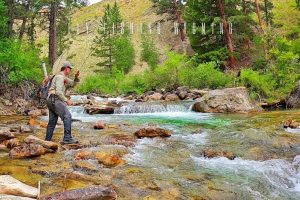 fly fishing wyoming