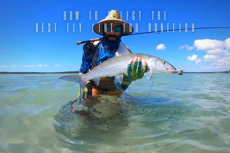 The 3 Best Fly Lines for Bonefish in 2023 Buyers Guide