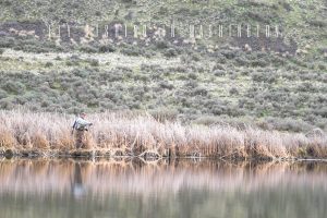 Best Trout Fly Fishing in Washington