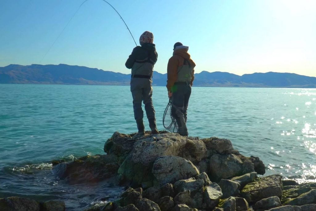 How Do I Catch The Giant Cuttys In Pyramid Lake