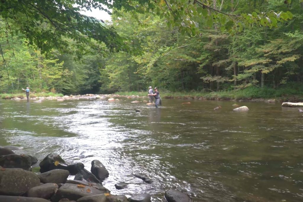 Western North Carolina Fly Fishing Trail