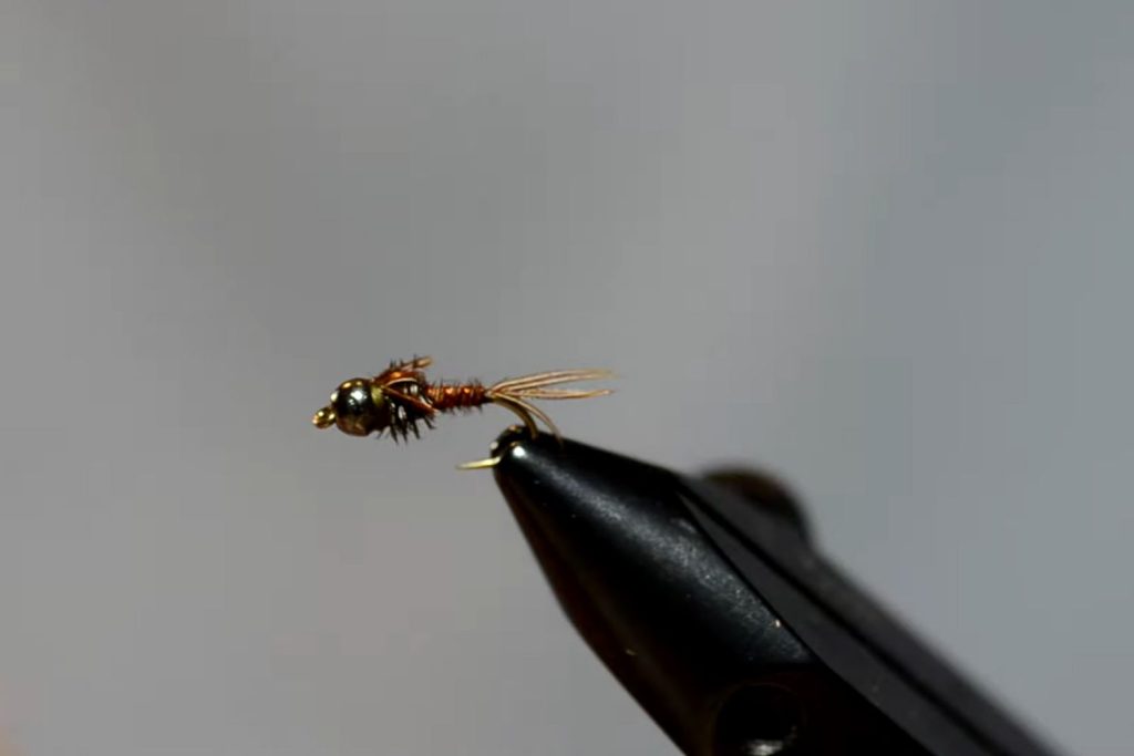 Bead Head Pheasant Tail Nymph