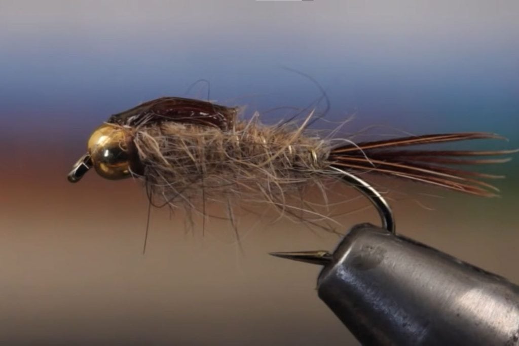 Gold Ribbed Hares Ear Nymph Fly