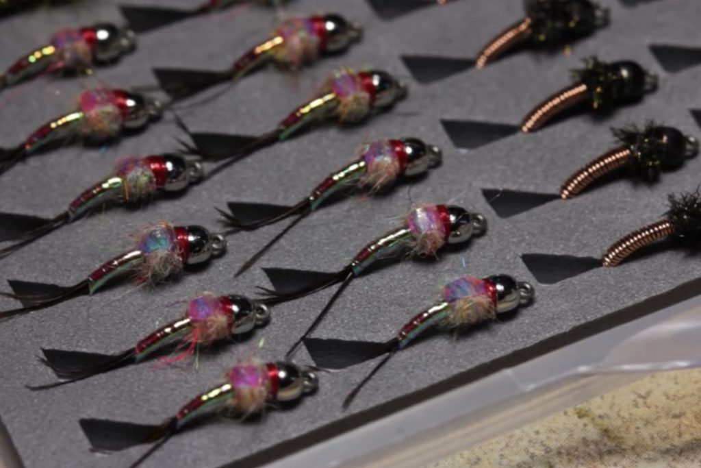 Rainbow Warrior Nymph